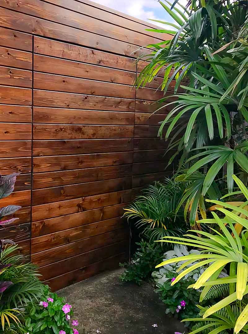 wood wall with wood door surrounded by plants